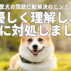 愛犬問題