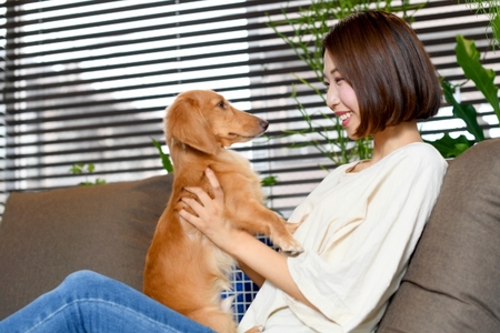 問題行動の解消法