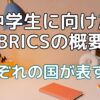 中学生に向けた BRICSの概要