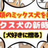 ミックス犬の新時代！犬好きに贈る10種類のミックス犬を紹介！